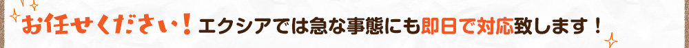お任せください!エクシアでは急な事態にも即日で対応致します!