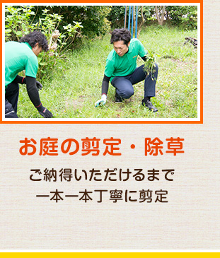 お庭の剪定・除草